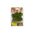 LIN PARSLEY 25GR