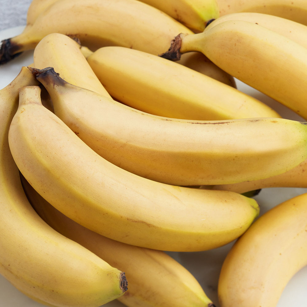 PNP BANANAS LS 1PK PNP BANANAS LS 1PK