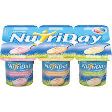 NUTRIDAY D/SNK SMTH TROPICAL 6X100GR